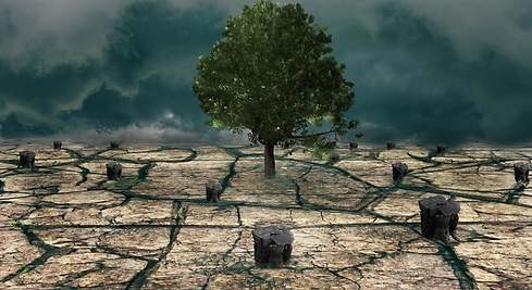 Greenwashing: los riesgos detrás del cambio climático