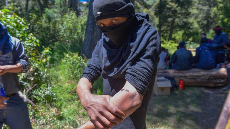 El desafío mapuche es a la política