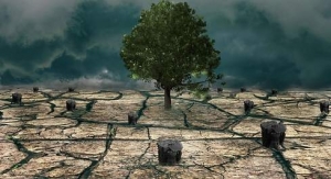 greenwashing-los-riesgos-detrás-del-cambio-climático