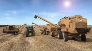por-la-caída-de-la-cosecha-las-cerealeras-planean-vacaciones-adelantadas-y-paradas-técnicas-de-las-plantas