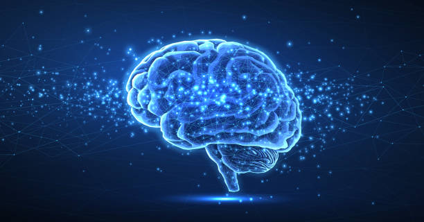 Día Mundial del Cerebro: 5 curiosidades científicas y “dificultades deseables” en el aprendizaje