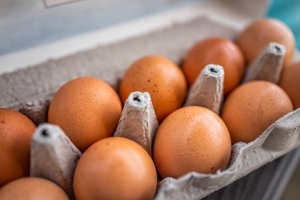 día-mundial-del-huevo-cuántos-se-pueden-comer-por-día-y-por-qué-es-un-súper-alimento-rico-en-proteínas